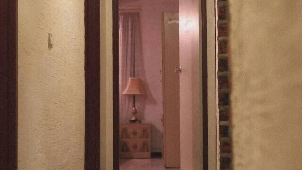 Photo of Others in Springwood