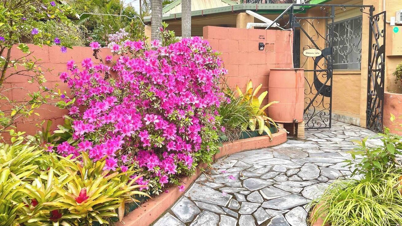 Photo of Others in Springwood