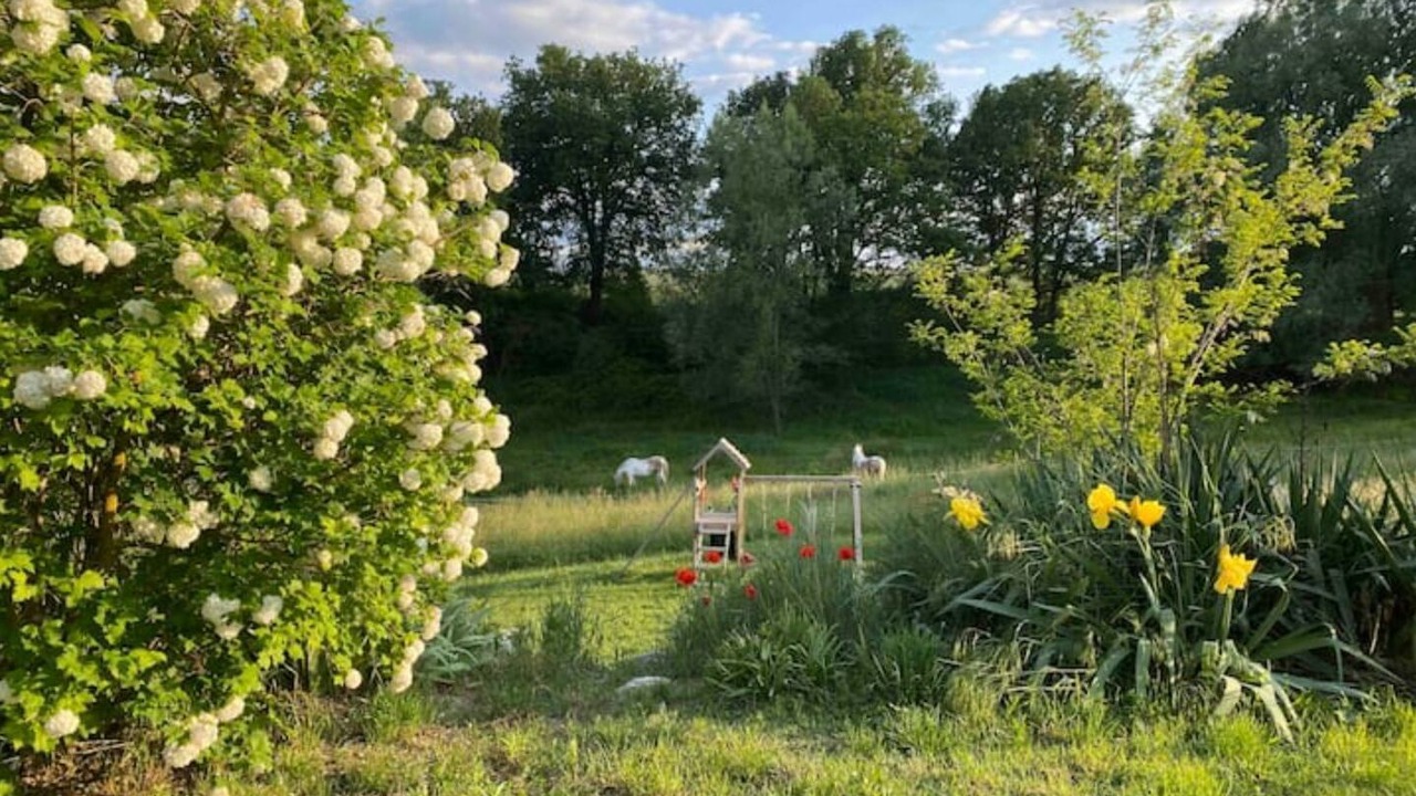 Photo of Outdoor in Forcalquier
