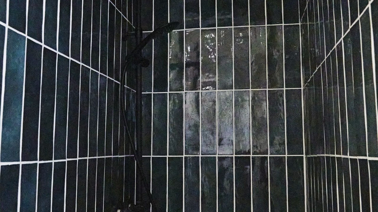 Photo of Bathroom in Bazac