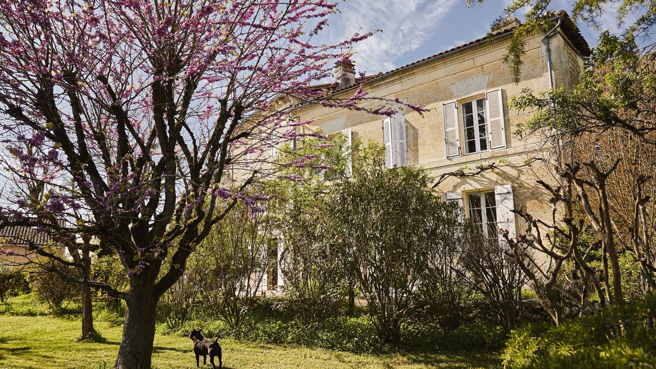 Photo of Outdoor in Bazac