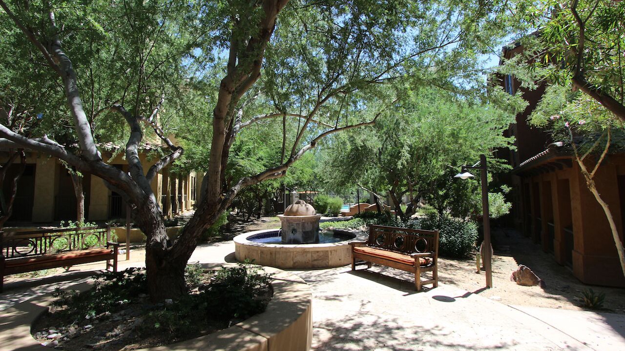 Photo of Outdoor in North Scottsdale