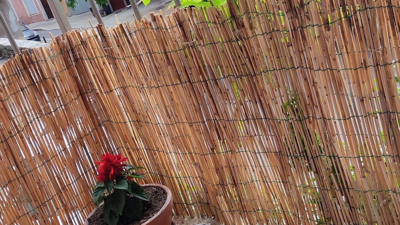 Photo of Outdoor in Pourrieres