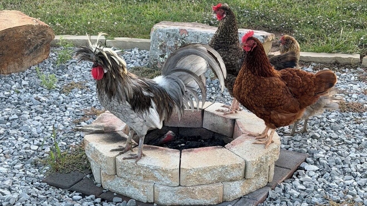 Photo of Others in Gardner