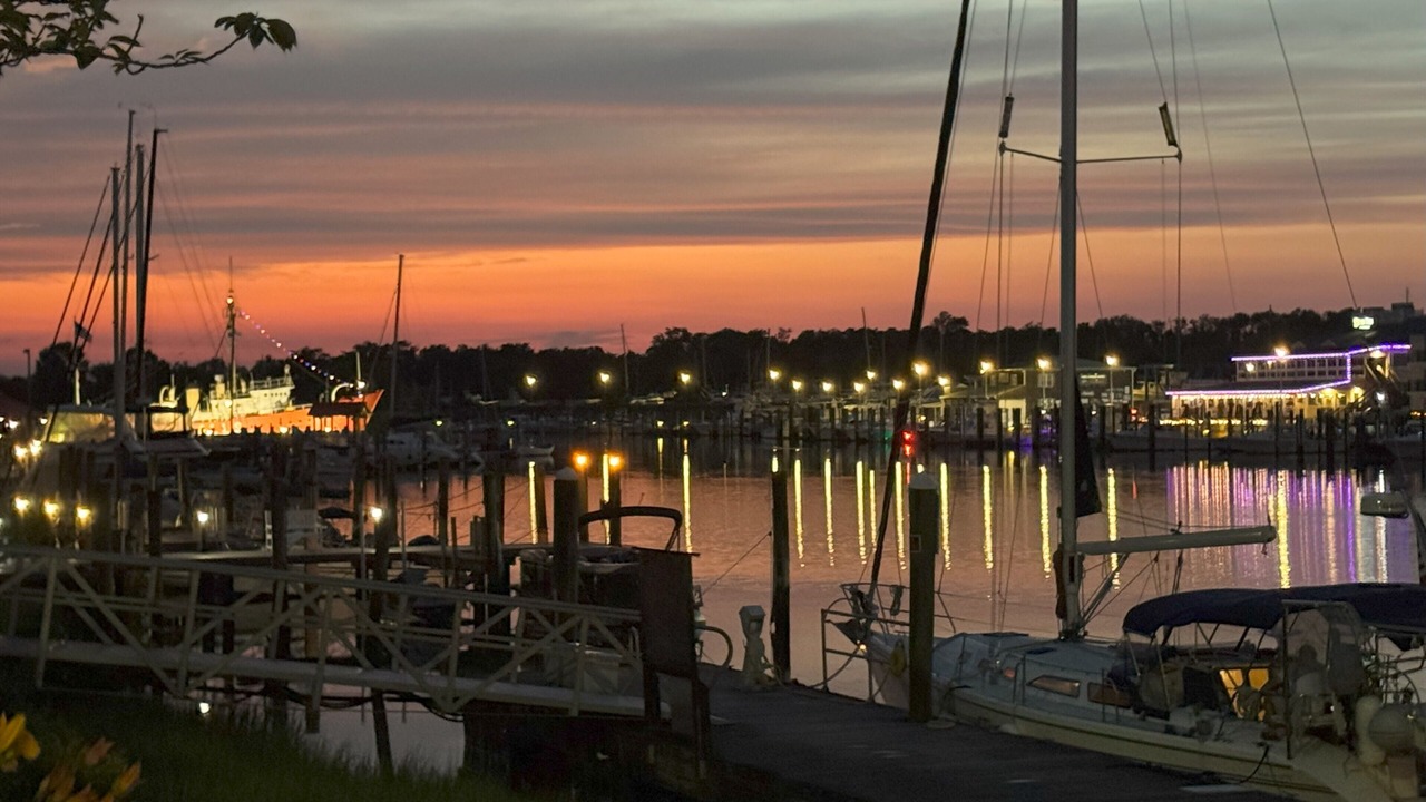 Photo of Others in Lewes