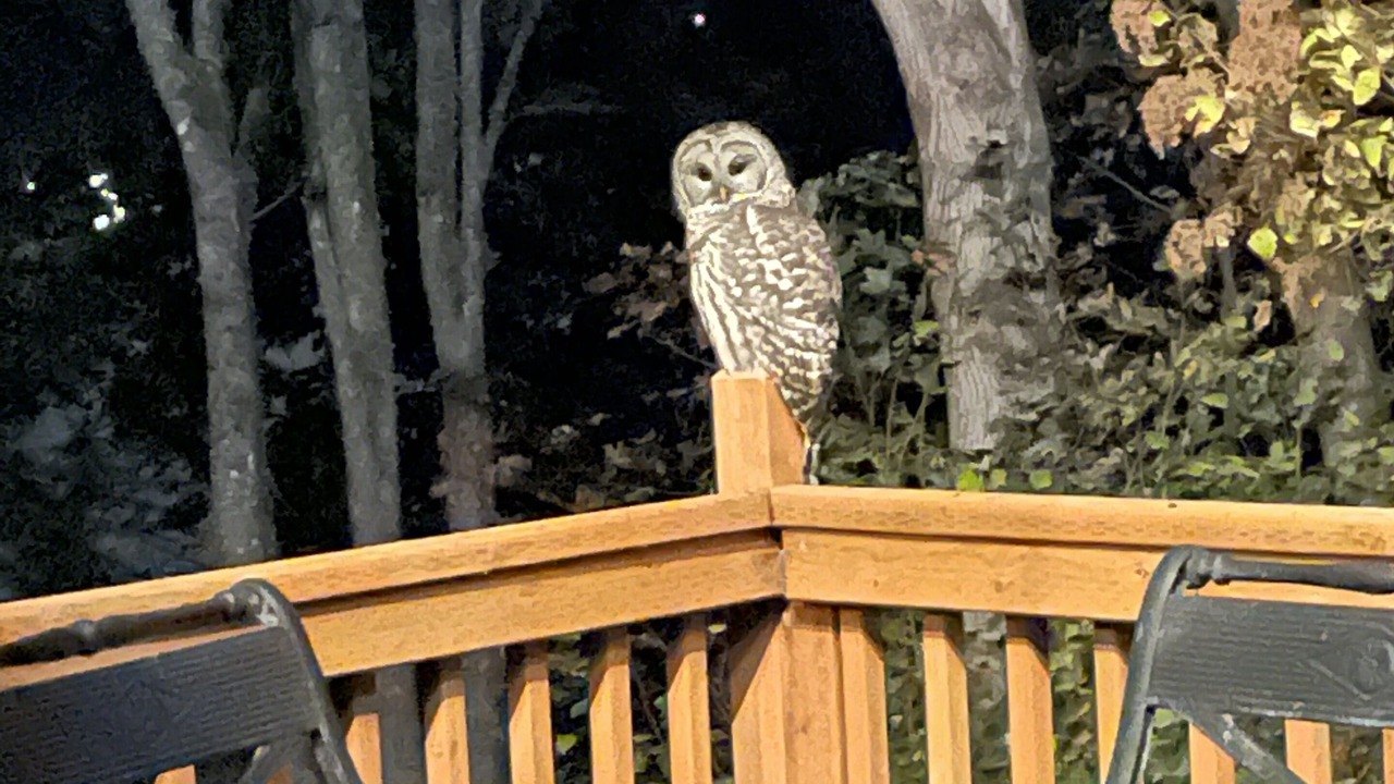 Photo of Others in Vashon Island