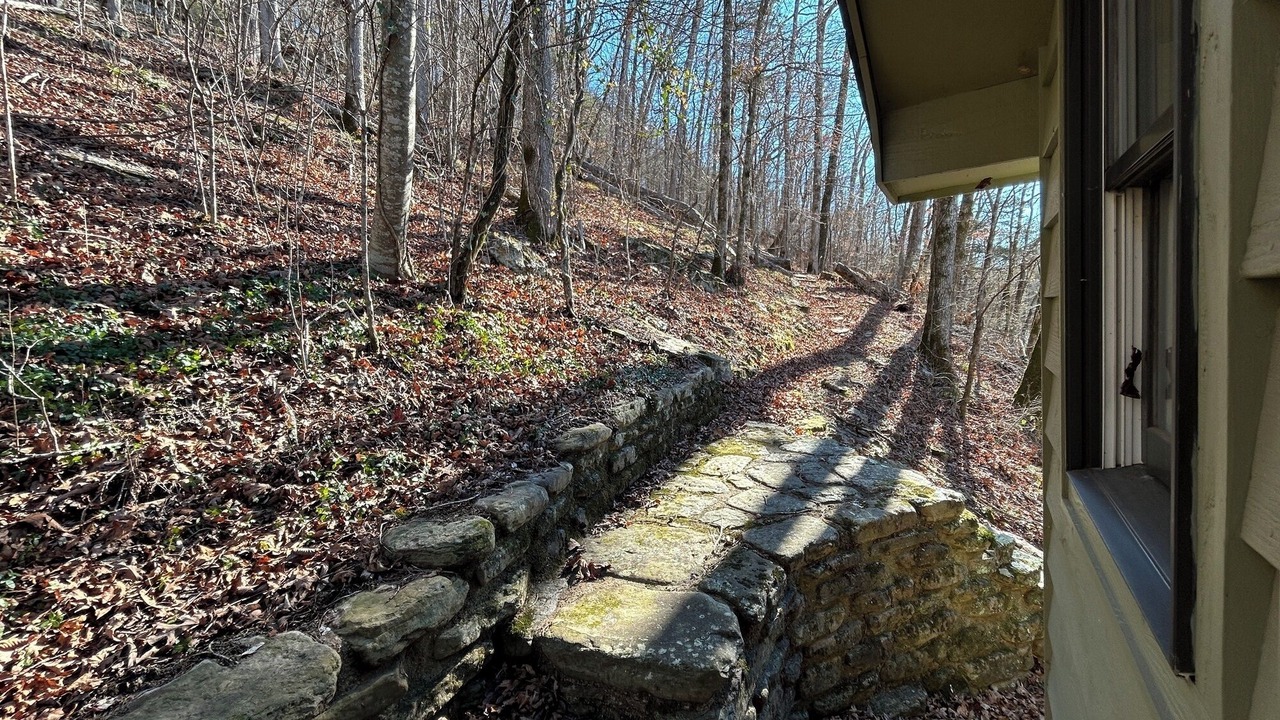 Photo of Others in Ozark