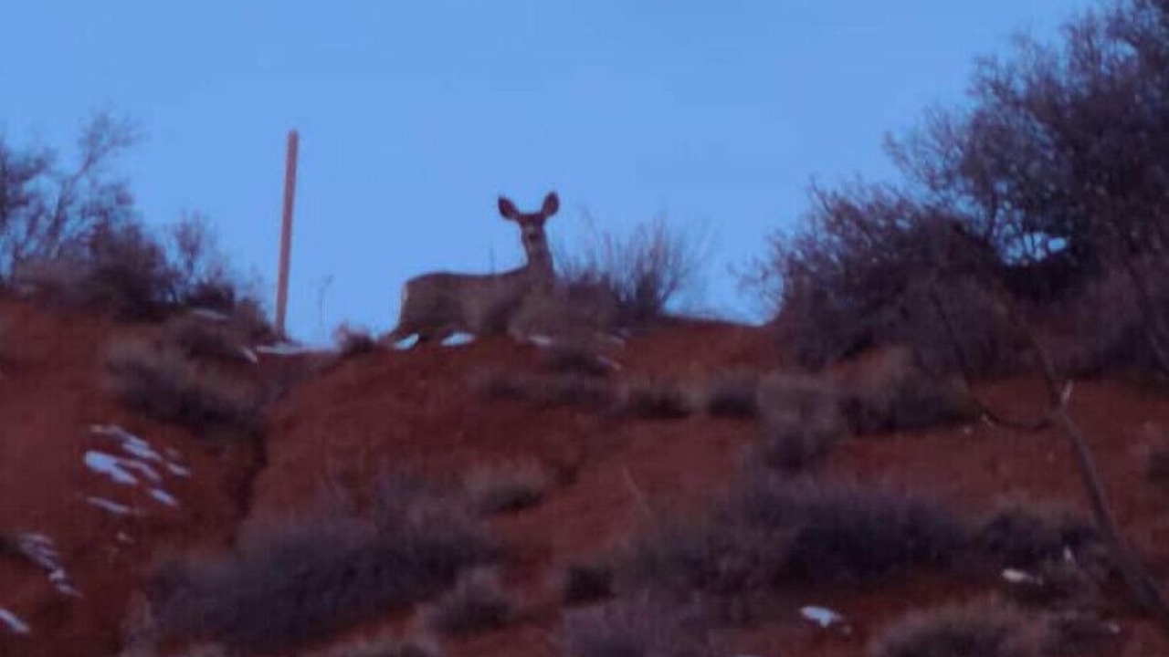 Photo of Others in Kanab