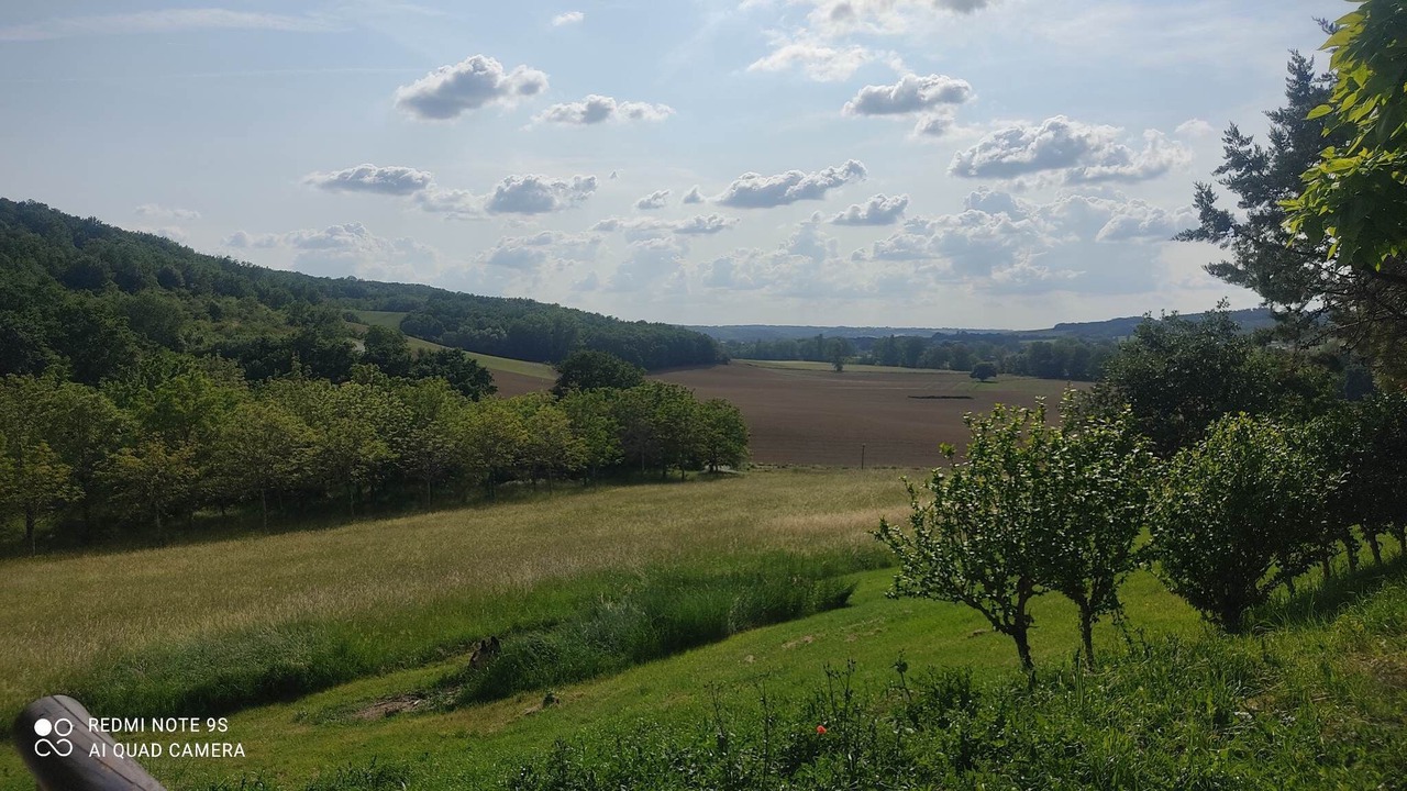 Photo of Others in La Salvetat-Belmontet