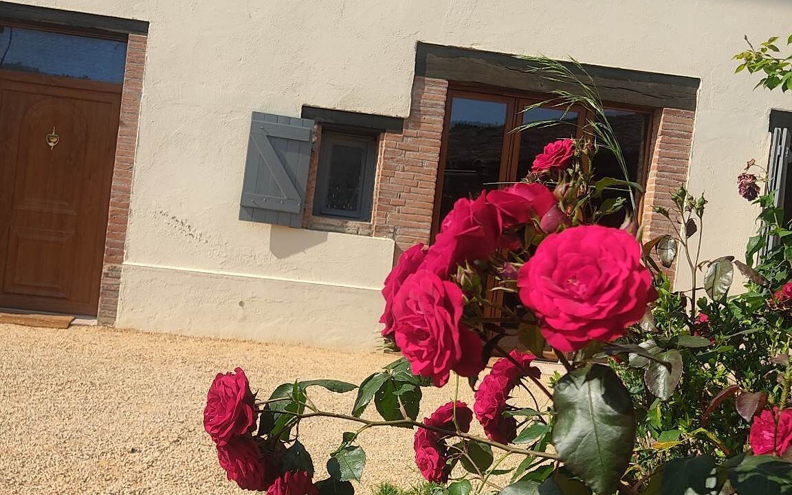 Photo of Outdoor in La Salvetat-Belmontet