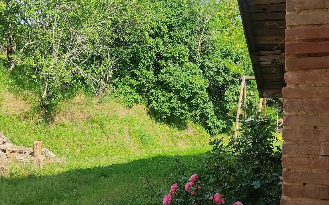 Photo of Outdoor in La Salvetat-Belmontet