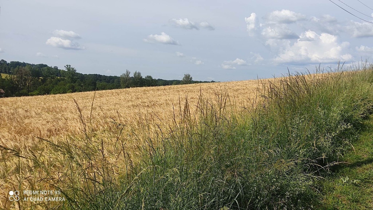 Photo of Outdoor in La Salvetat-Belmontet