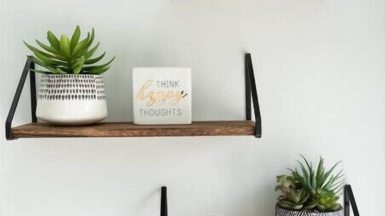 Photo of Others in Schnecksville