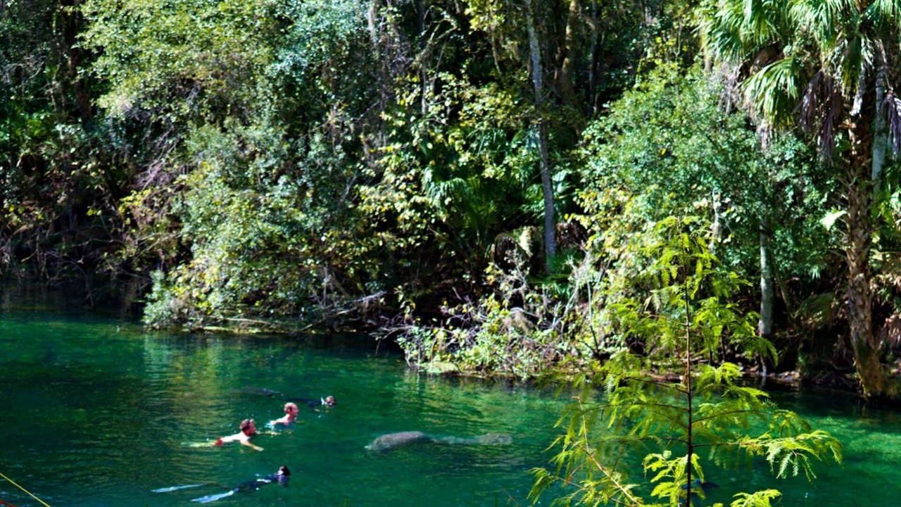 Photo of Others in Weeki Wachee