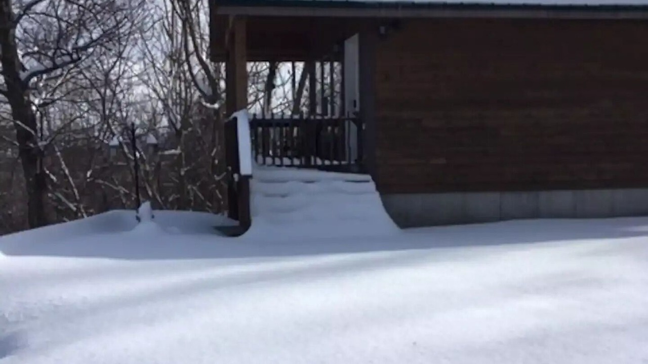 Photo of Others in Amherst