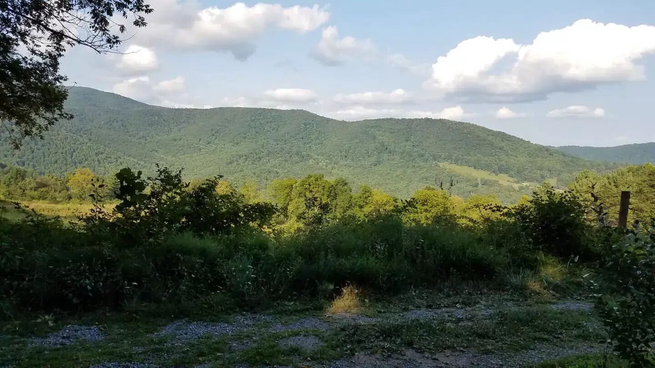 Photo of Others in Amherst