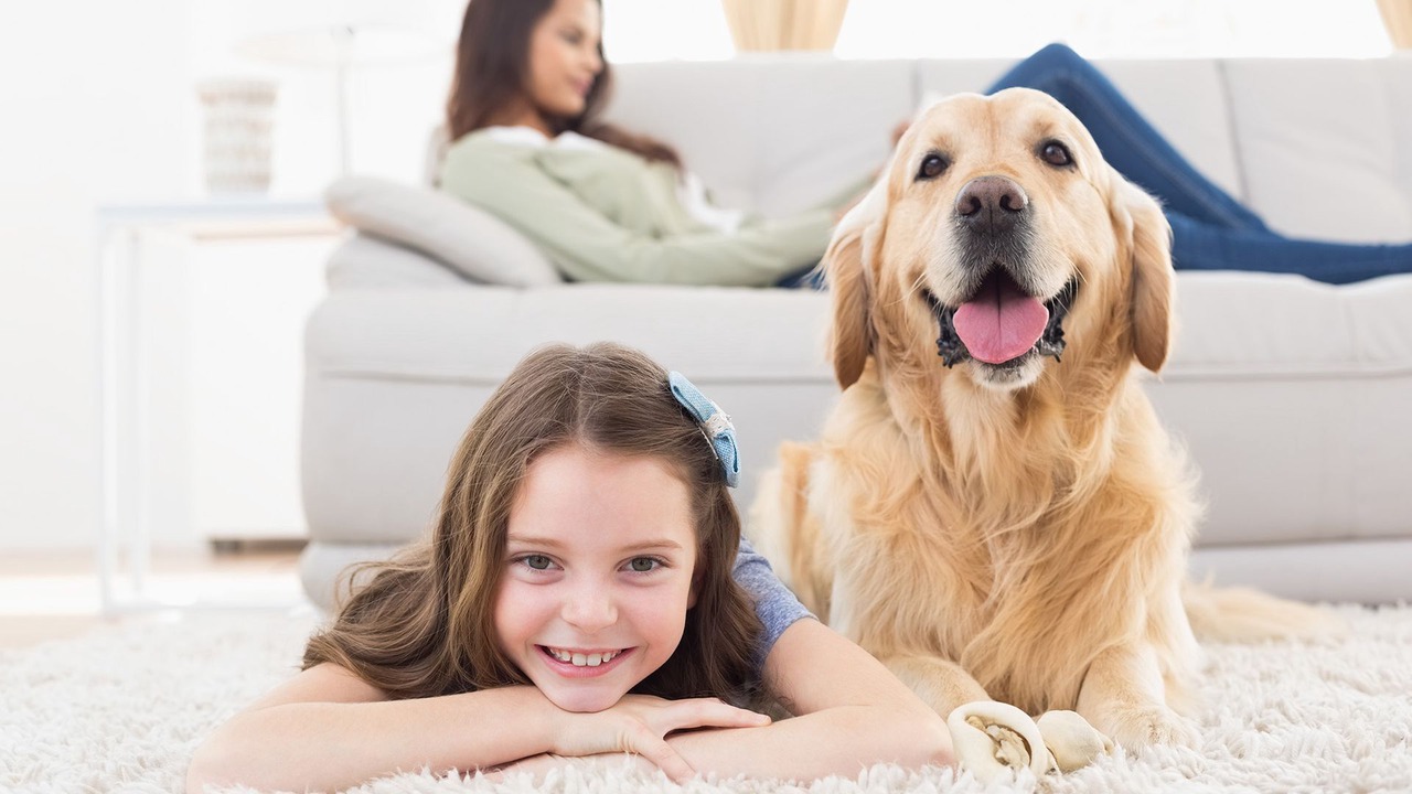 Photo of Others in Hampton