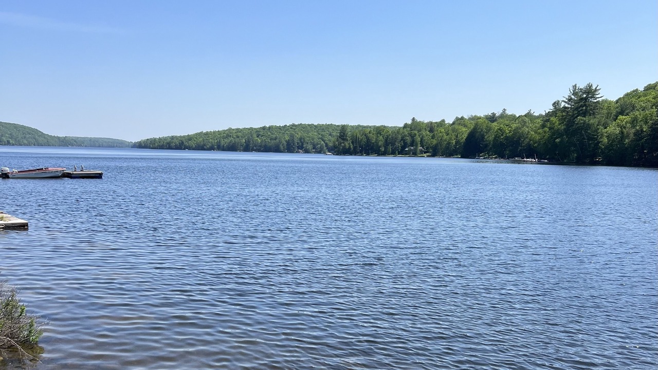 Photo of Others in Algonquin Highlands