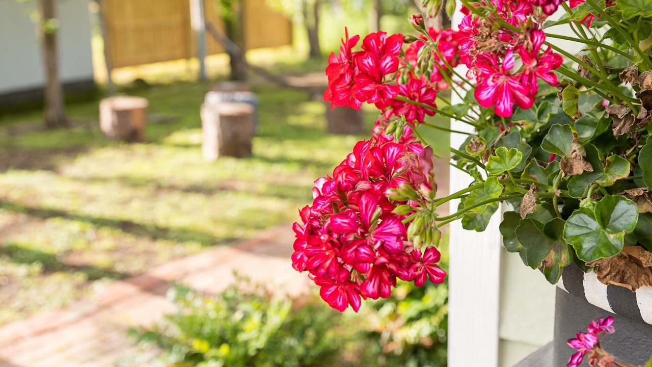 Photo of Others in Mathews