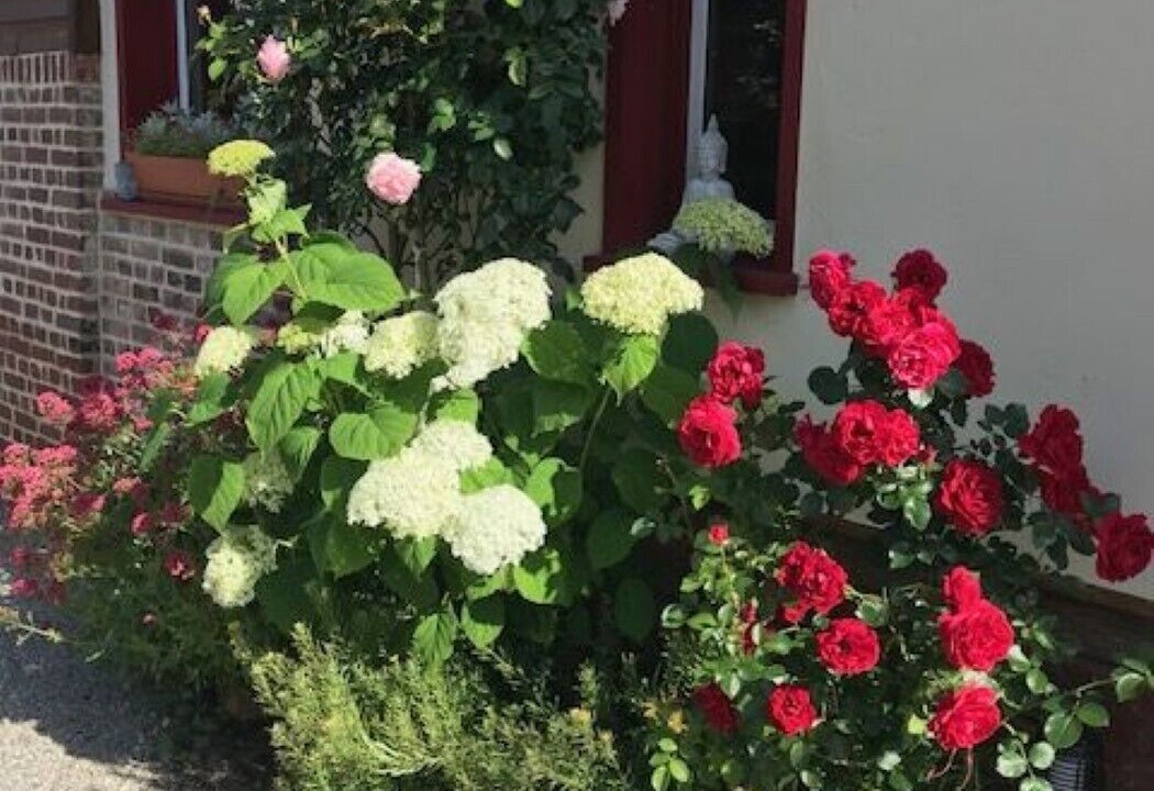 Photo of Outdoor in Miannay