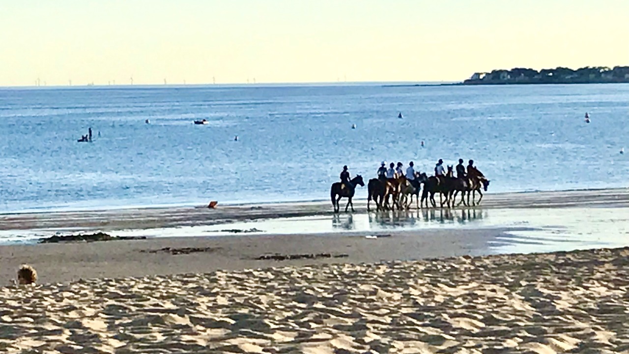 Photo of Others in Saint-Marc-sur-Mer