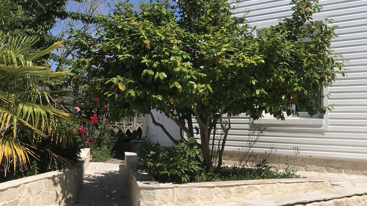 Photo of Outdoor in Saint-Marc-sur-Mer