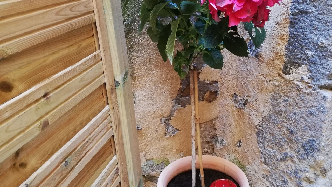 Photo of Outdoor in Champeix