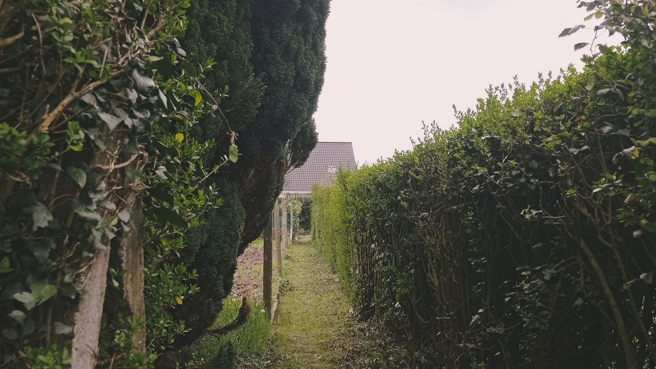 Photo of Outdoor in Neufchatel-Hardelot