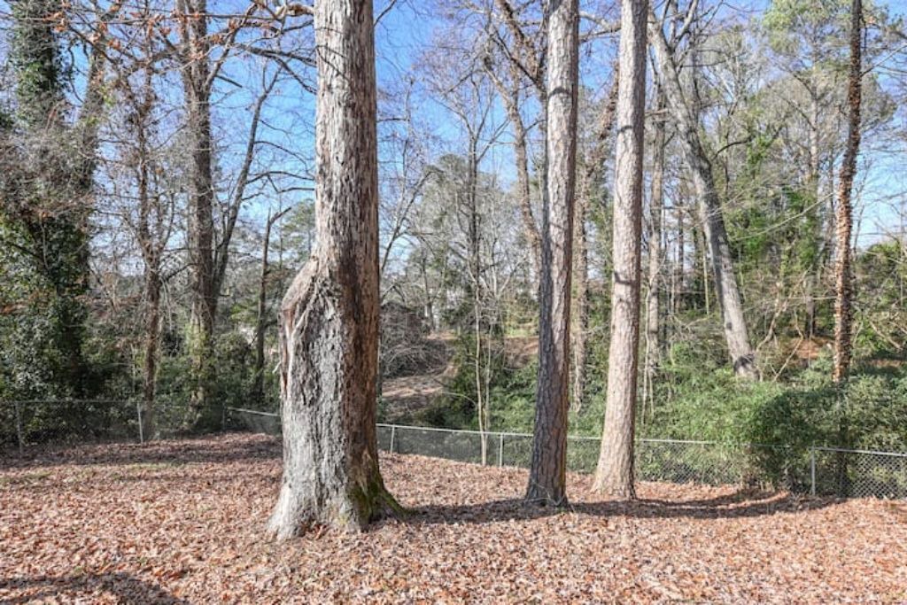 Photo of Outdoor in Athens