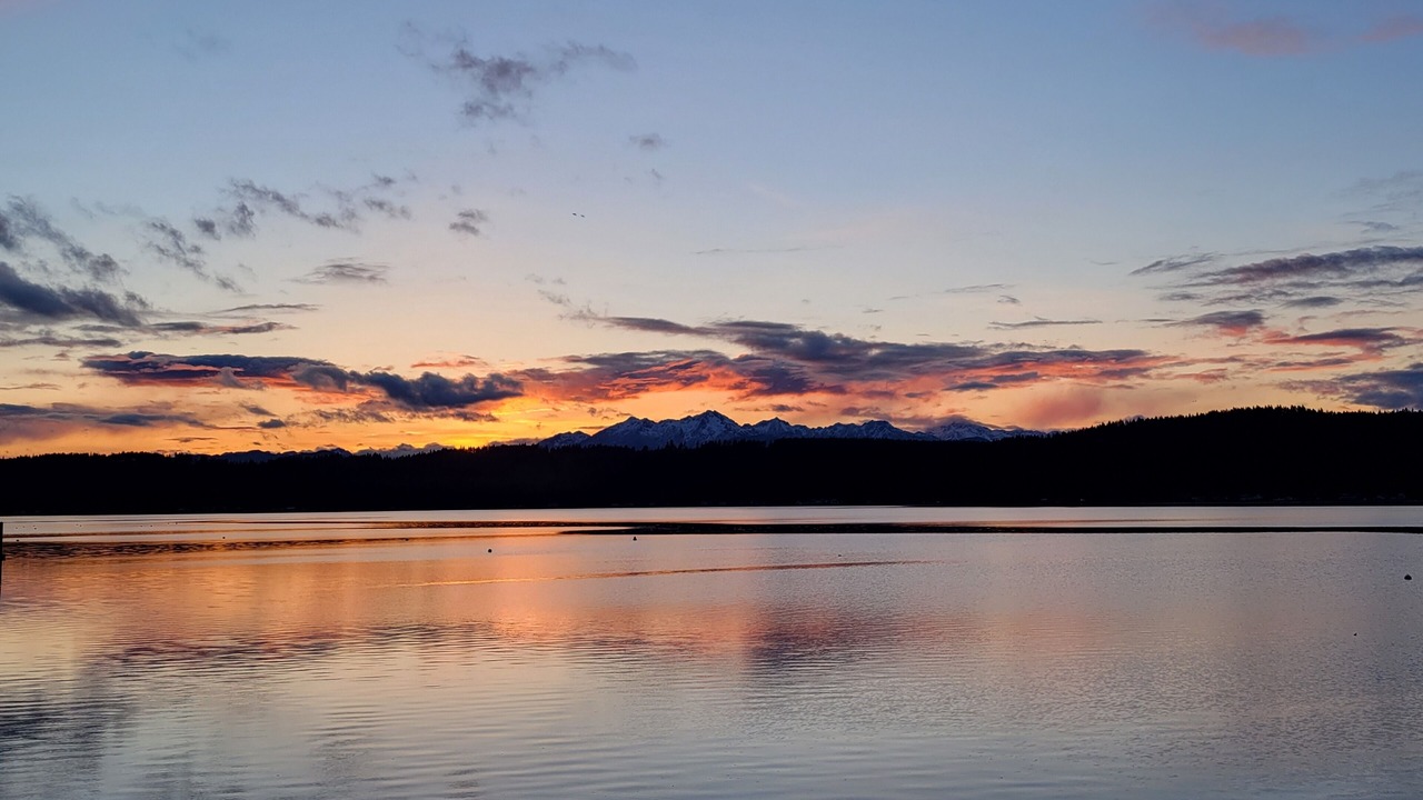 Photo of Others in Belfair