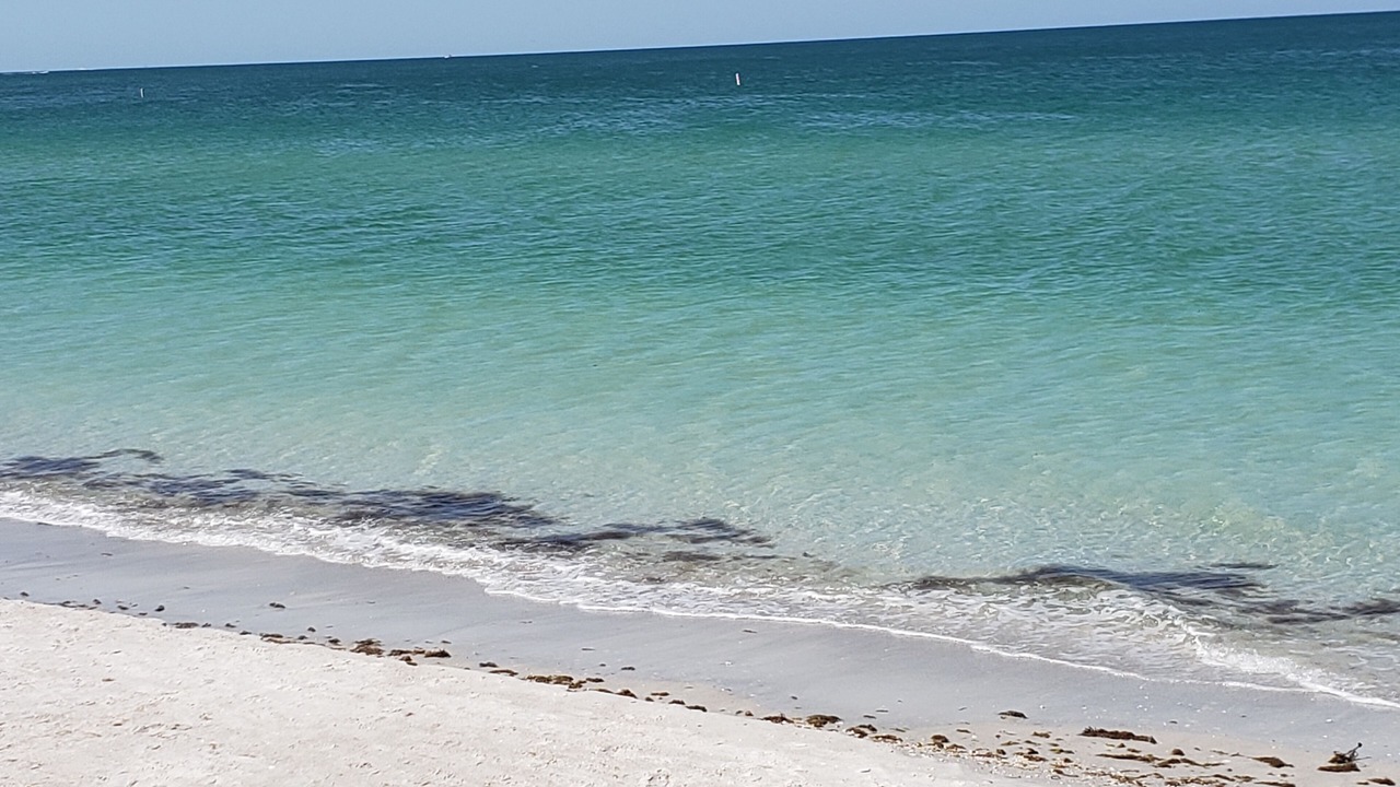 Photo of Others in Sunset Beach