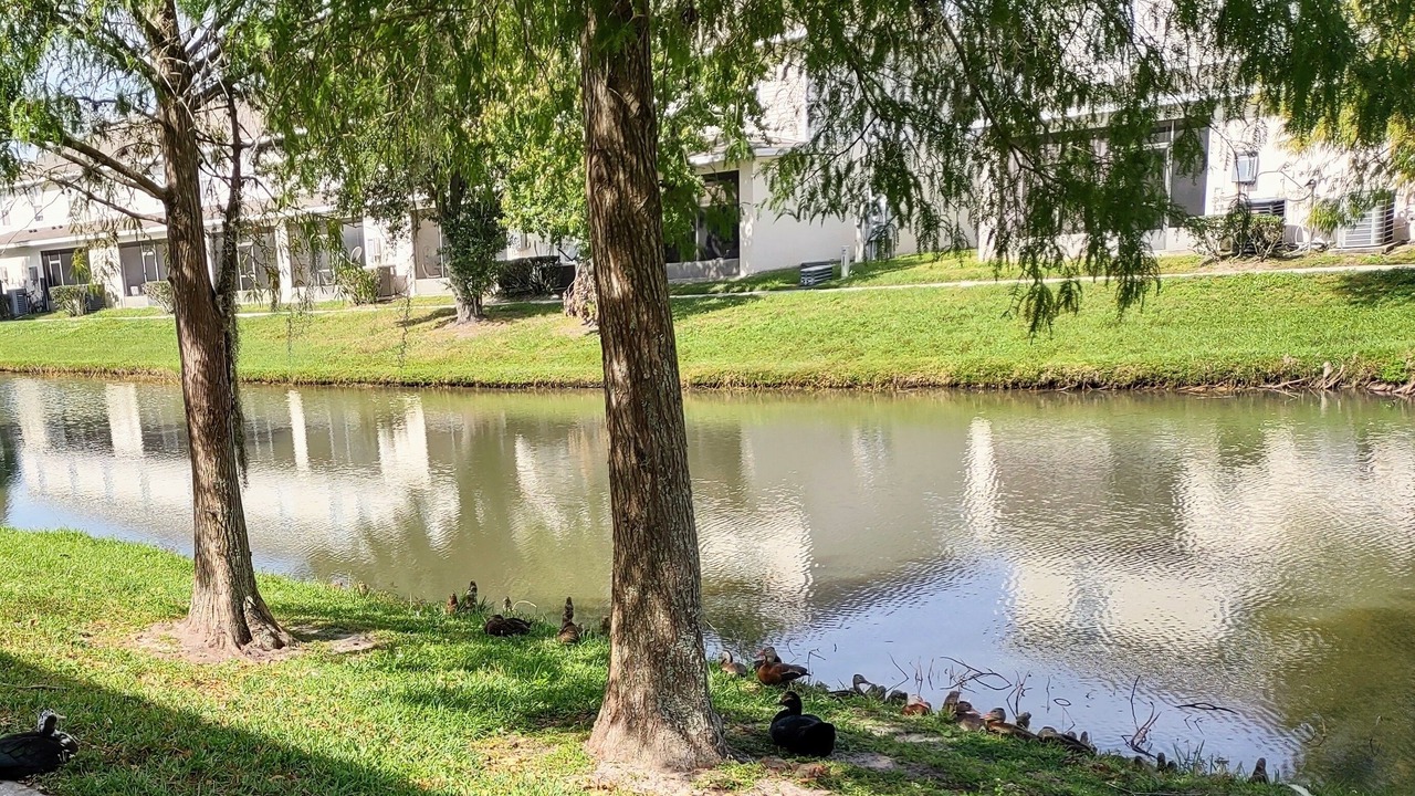 Photo of Outdoor in Trafalgar Village