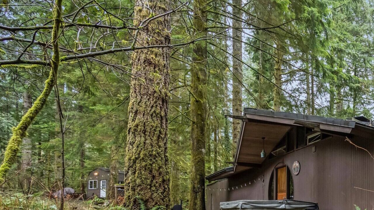 Photo of Outdoor in North Bend