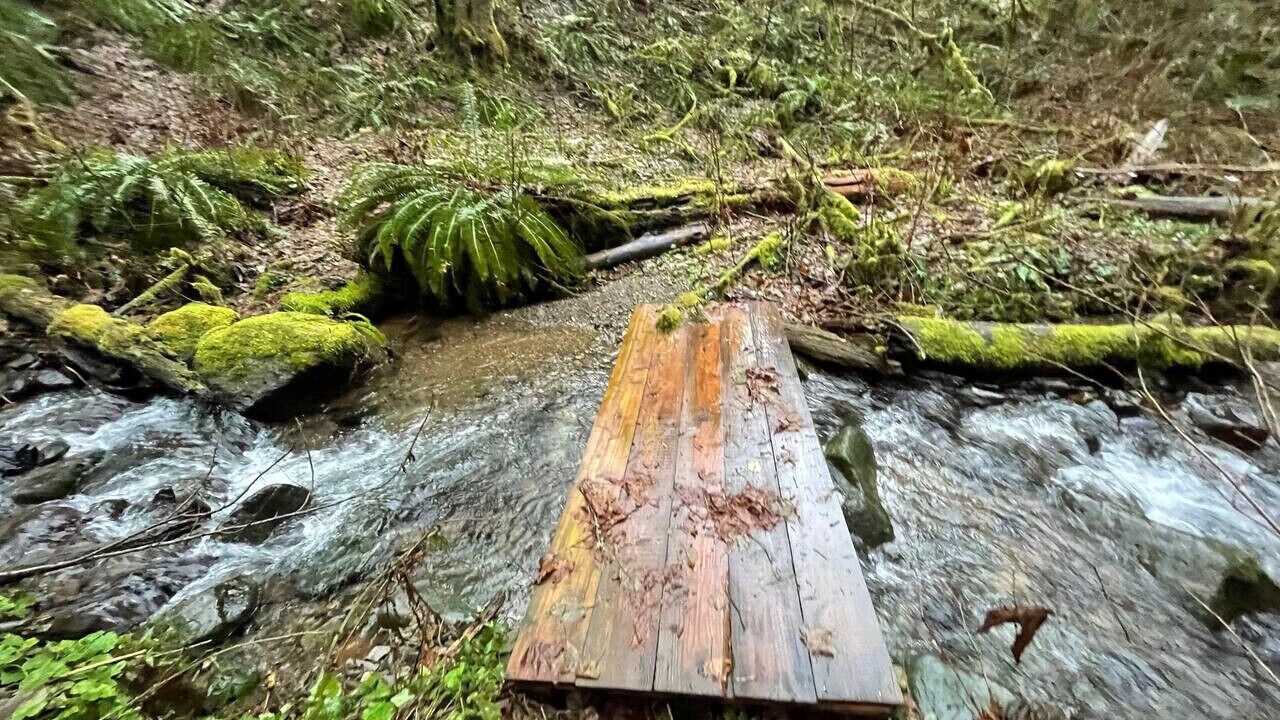 Photo of Others in North Bend