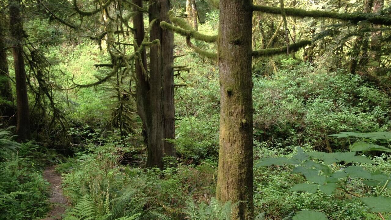 Photo of Others in North Bend