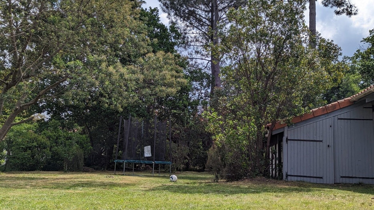 Photo of Outdoor in Bias