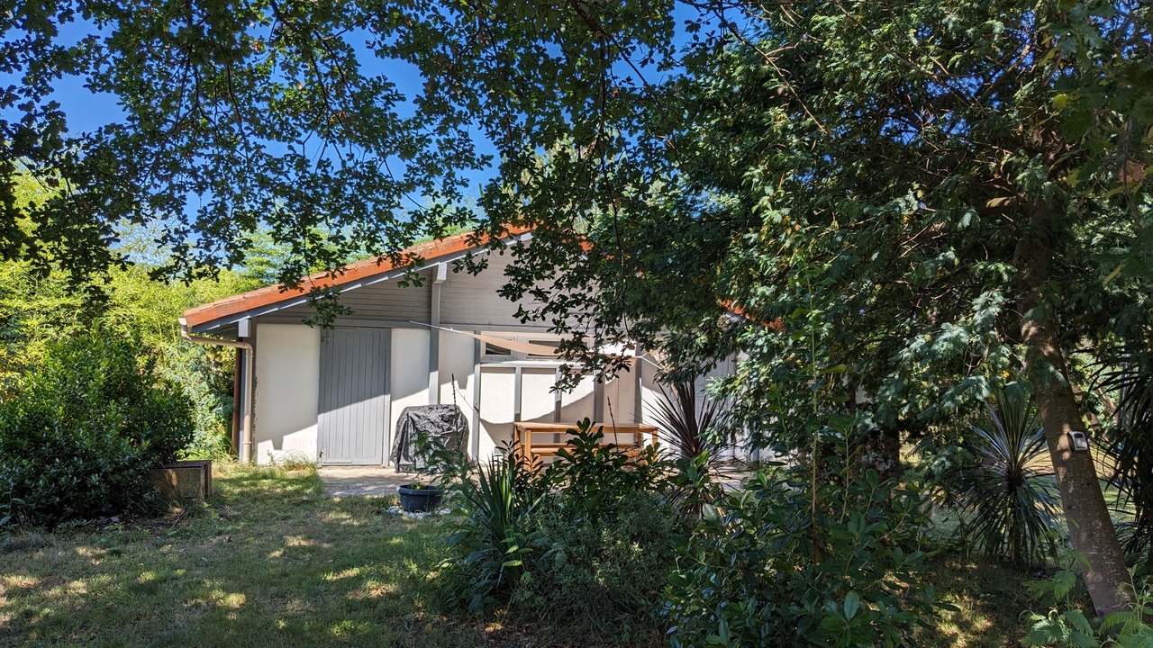 Photo of Outdoor in Bias