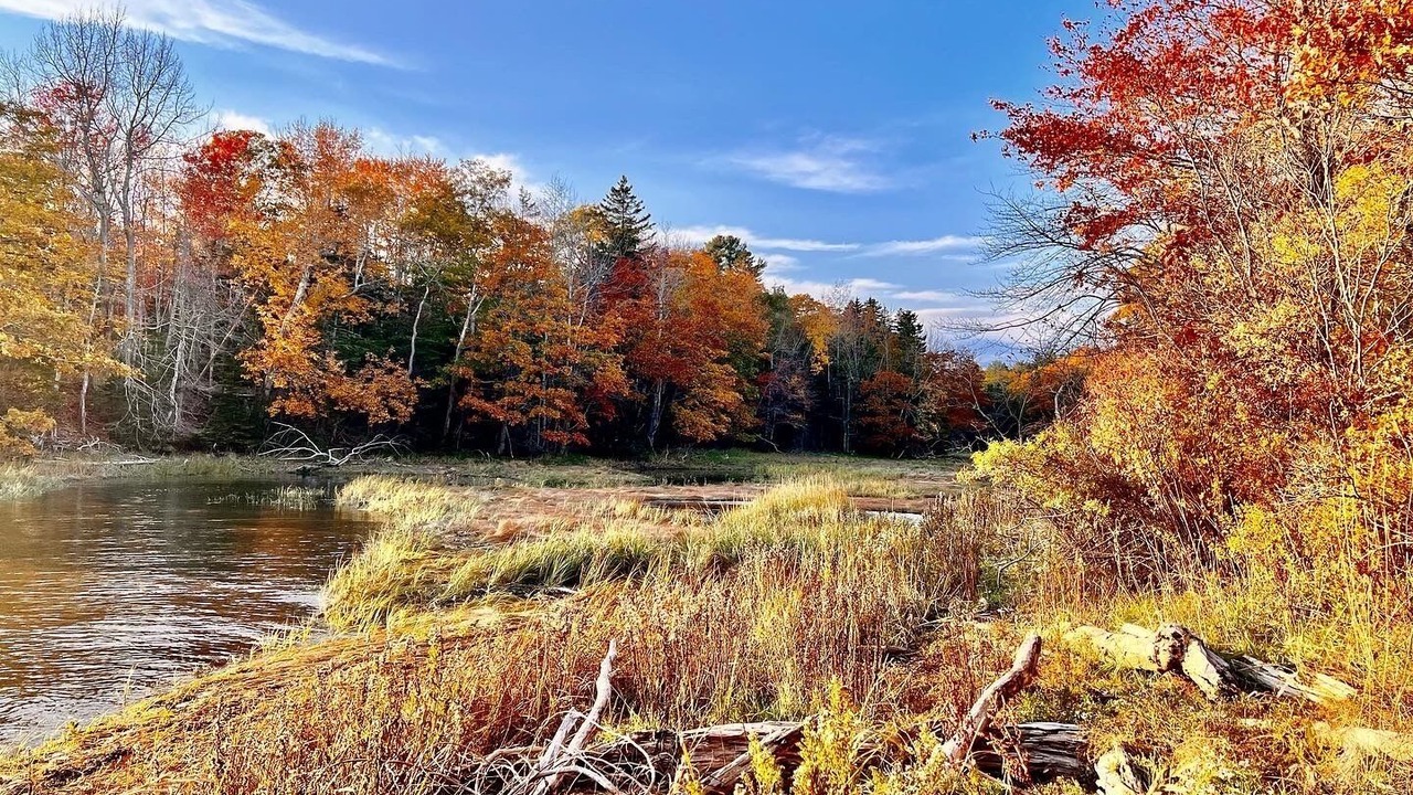 Photo of Others in Stockton Springs