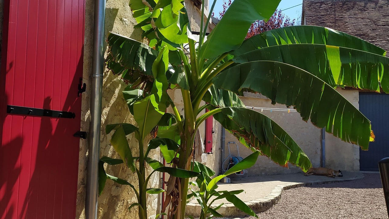 Photo of Outdoor in Villerbon