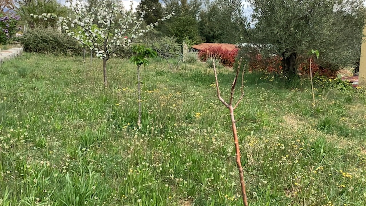 Photo of Outdoor in Rosieres