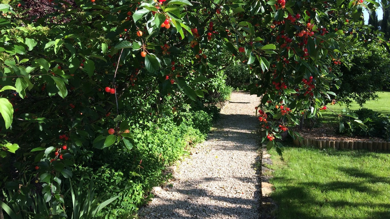 Photo of Outdoor in Saint-Loup-Geanges