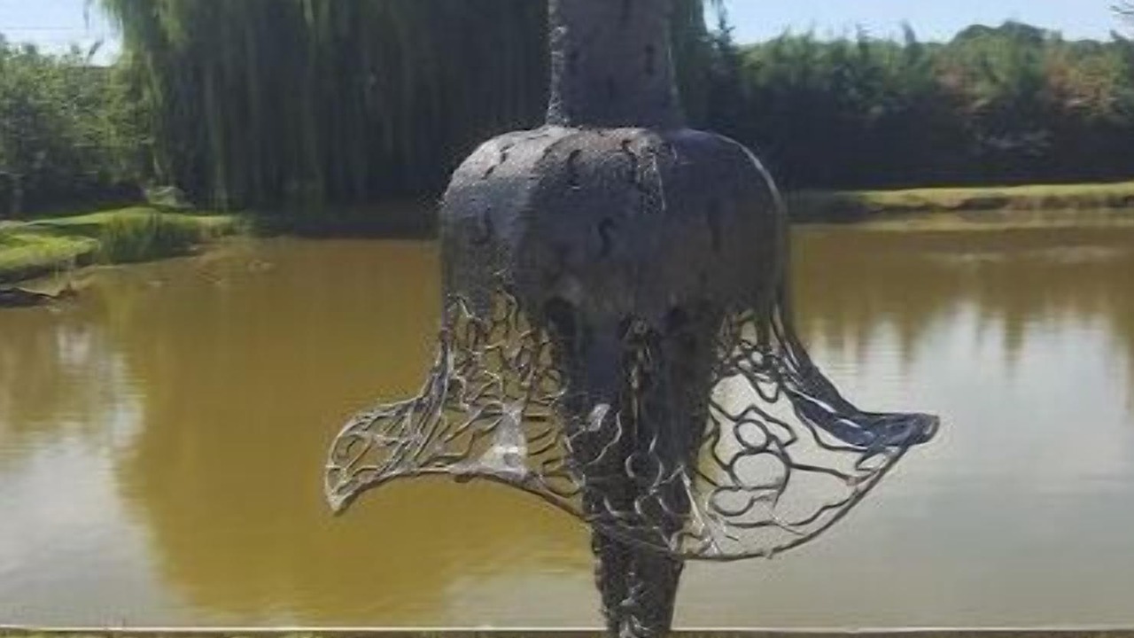 Photo of Outdoor in Gy-en-Sologne