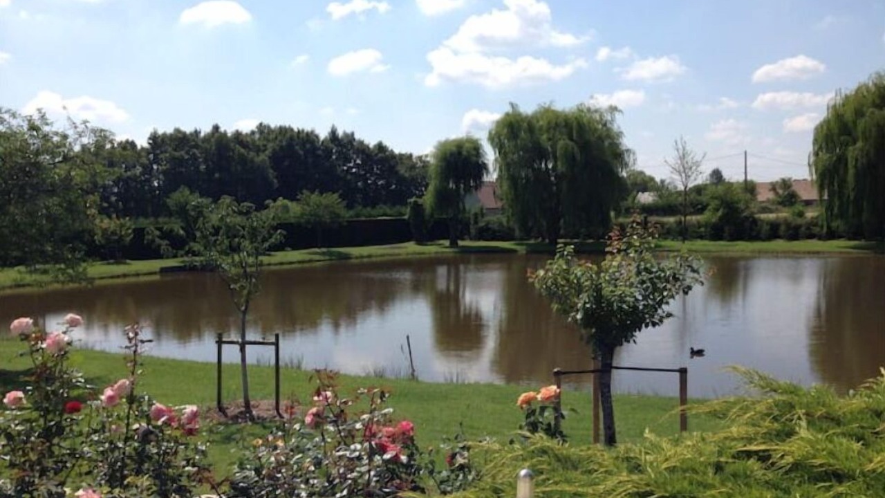 Photo of Outdoor in Gy-en-Sologne