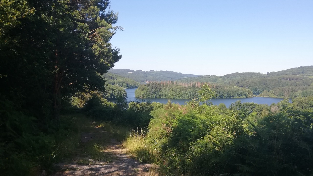 Photo of Others in La Salvetat-sur-Agout