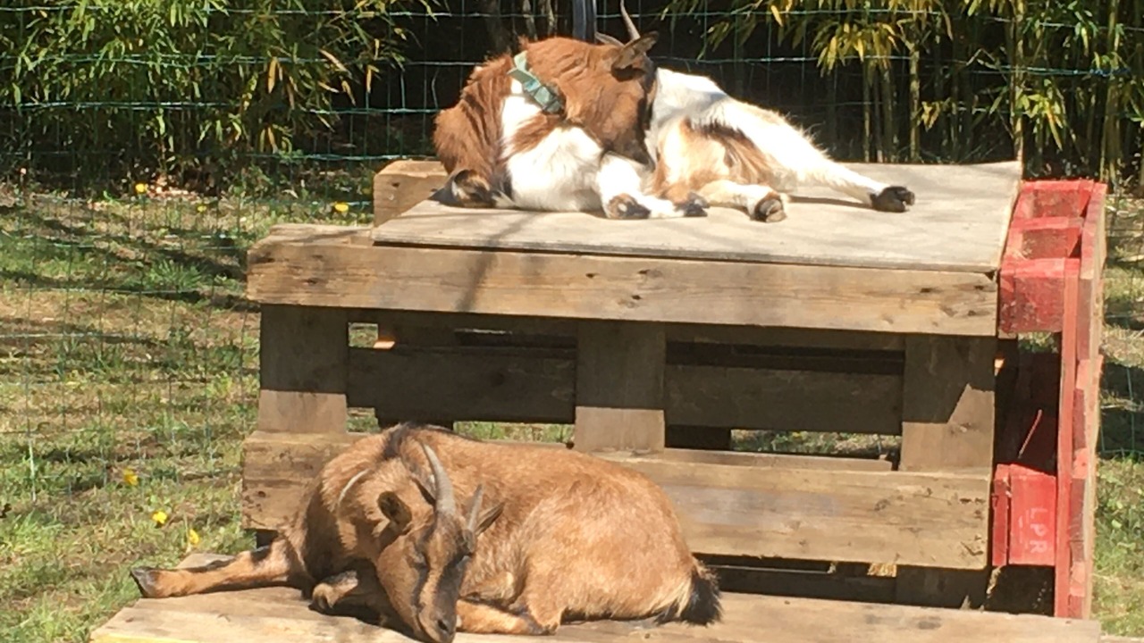 Photo of Others in Bonrepos