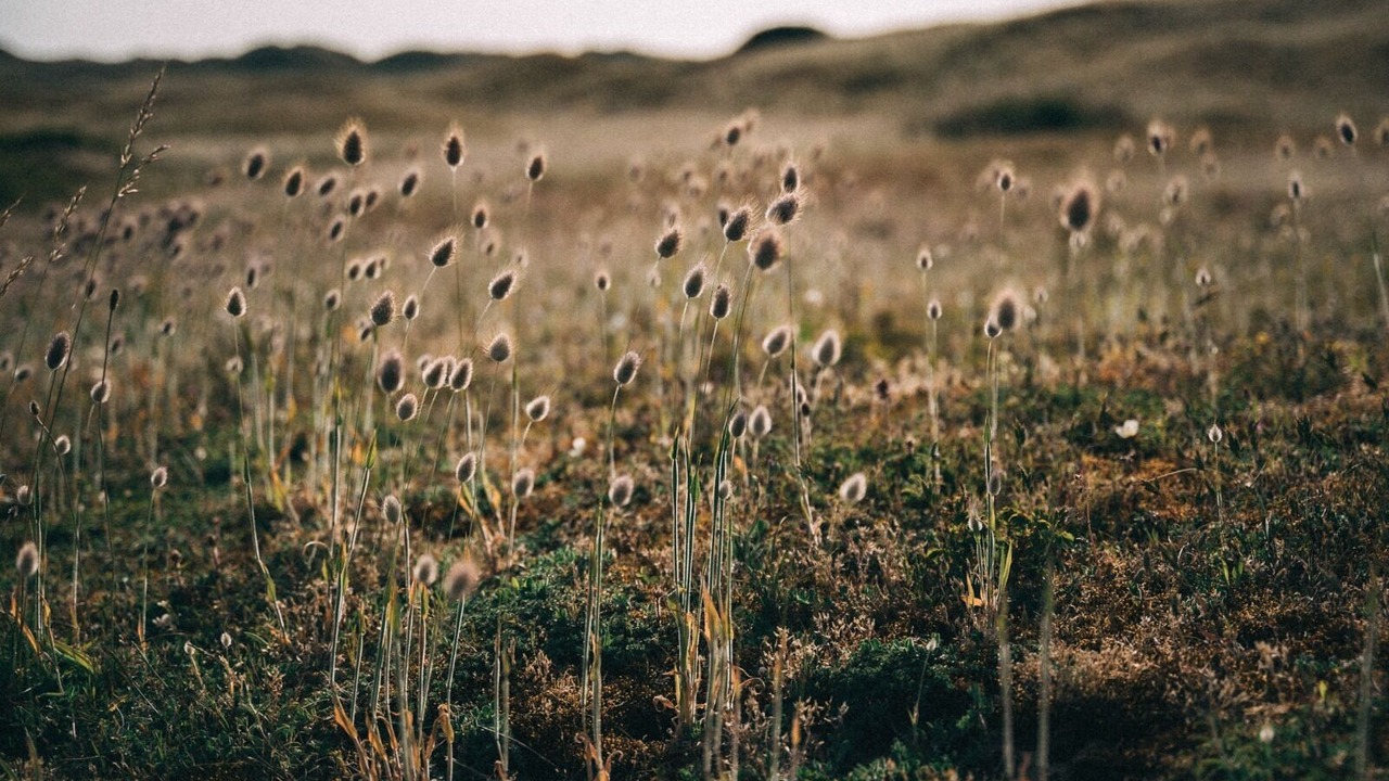 Photo of Others in Urville-Nacqueville