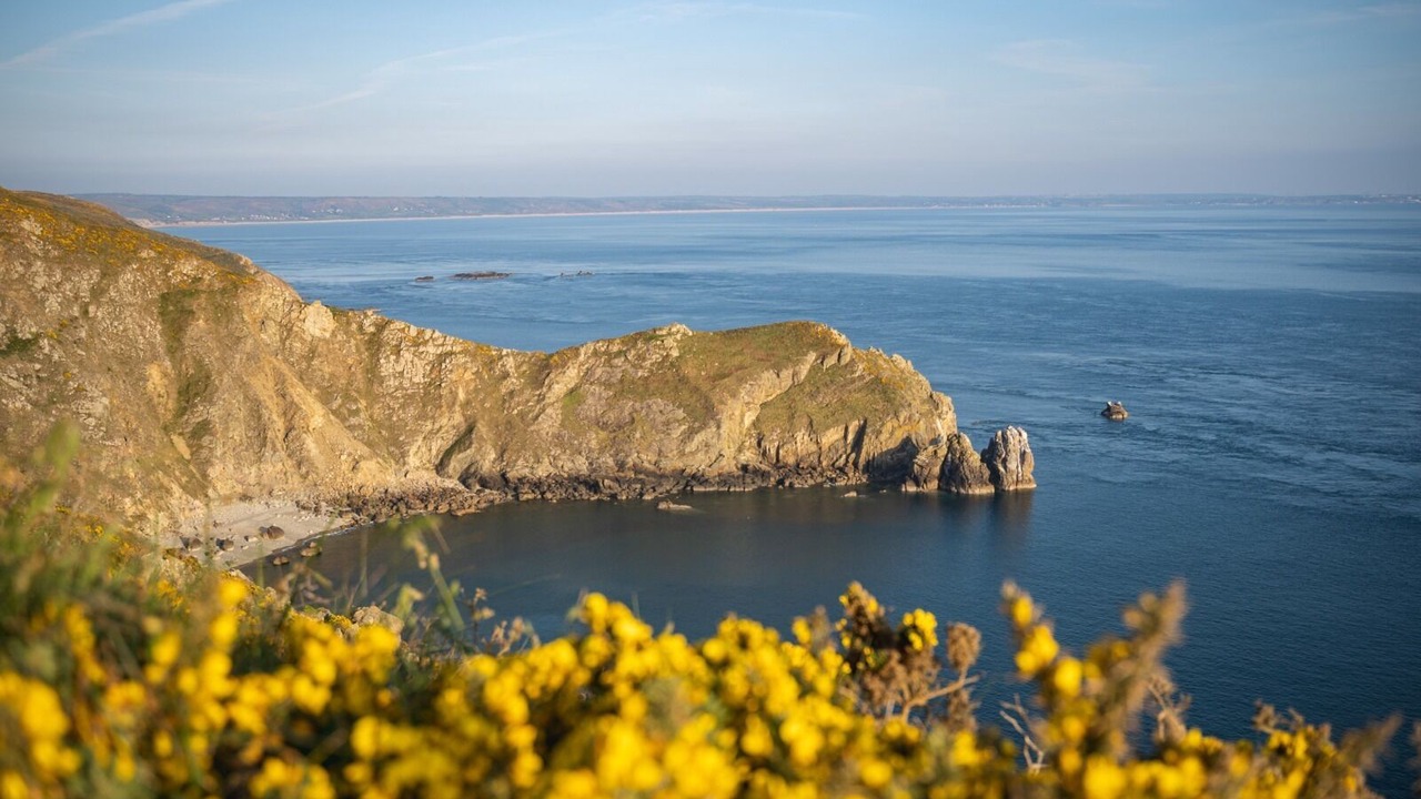 Photo of Others in Urville-Nacqueville