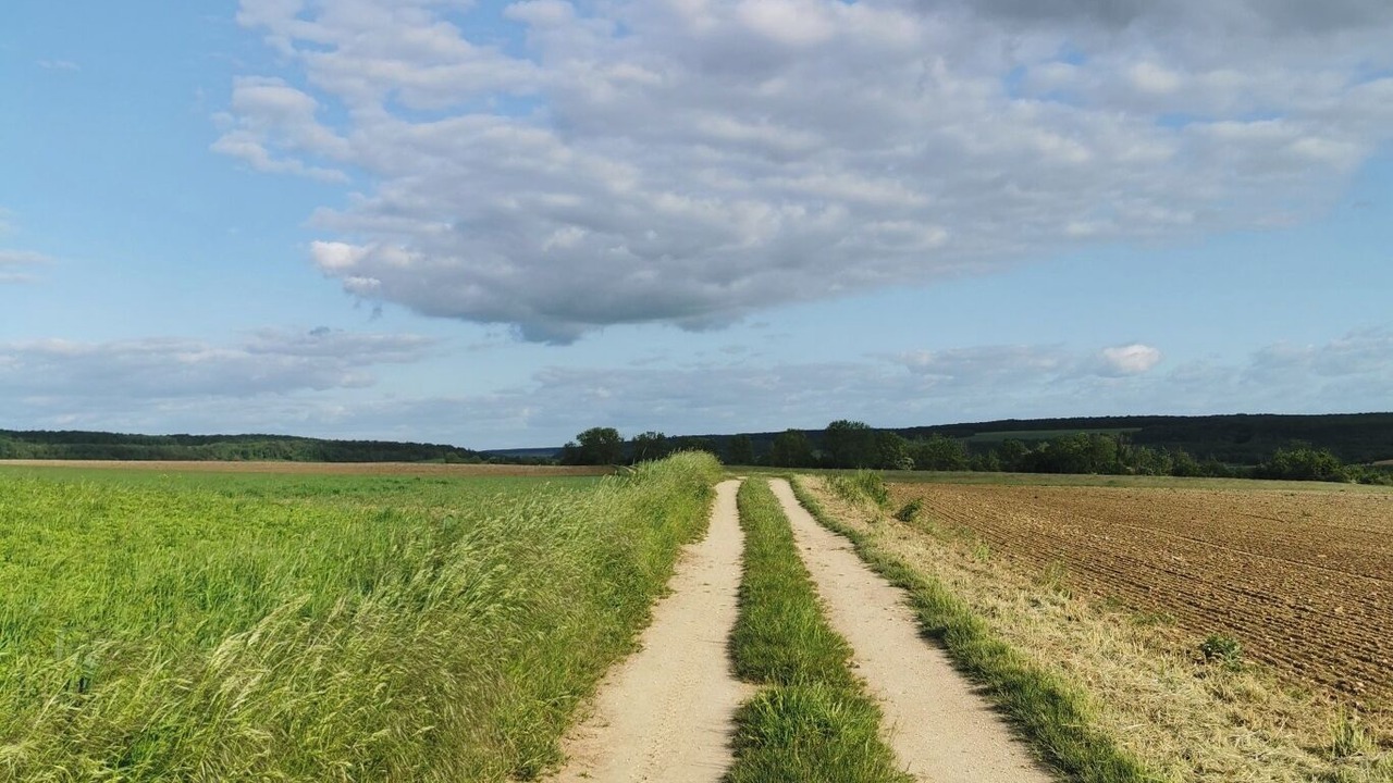 Photo of Outdoor in Rougemont