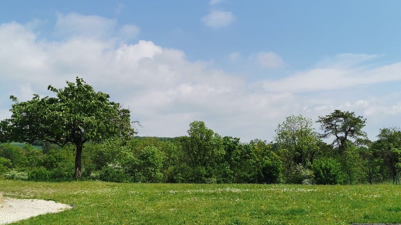 Photo of Outdoor in Rougemont