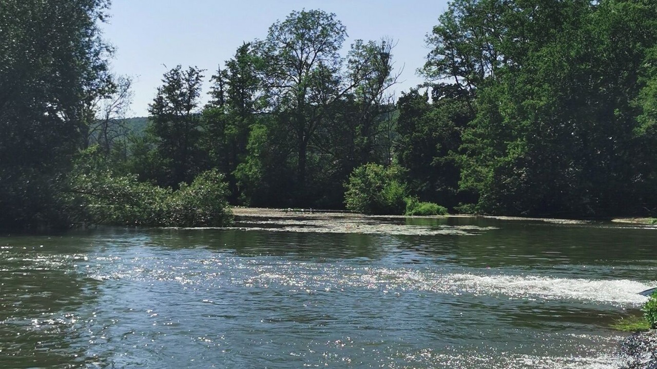 Photo of Others in Rougemont